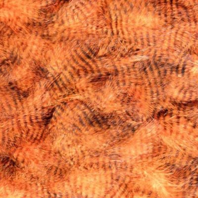 Hends Grizzly Marabou Feathers GM307 - Fluo Orange / Black Striped