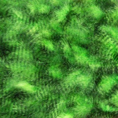 Hends Grizzly Marabou Feathers GM308 - Fluo Green / Black Striped