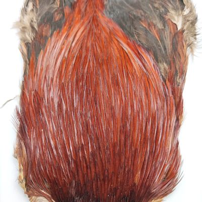 Hends Cock Capes CC35 - Dark Brown