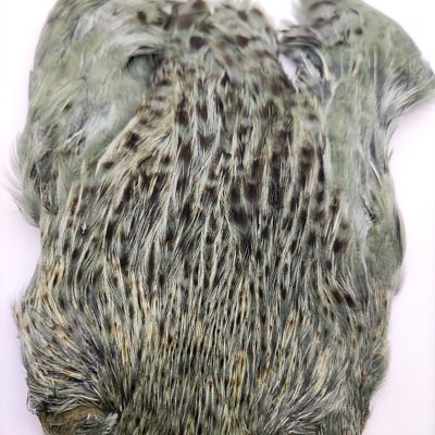 Hends Hen Capes CH332 - Grizzly Green