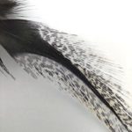 Hends Coq de Leon Feathers 151