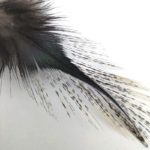 Hends Coq de Leon Feathers 306