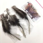 Hends Coq de Leon Feathers 331