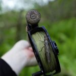 EURO NYMPH BRAID CORE - LEVEL .022