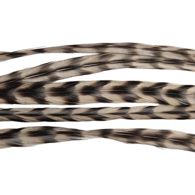 Veniard Hand Stripped Peacock Quills - Brown