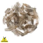 Veniard English Partridge Brown Back Feathers - Natural - 1g
