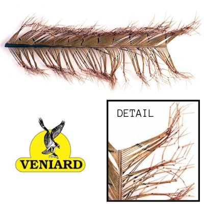 Veniard Cock Pheasant Knotted Tail On Quill - Natural