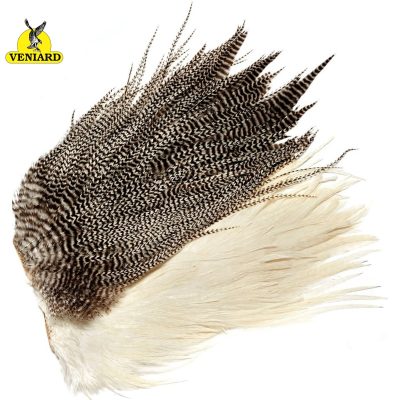 Veniard Genetic Saddle Grade 1 - Grizzly