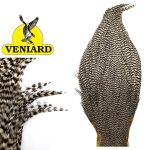 Veniard Premium Cock Capes - Neck - Grizzly