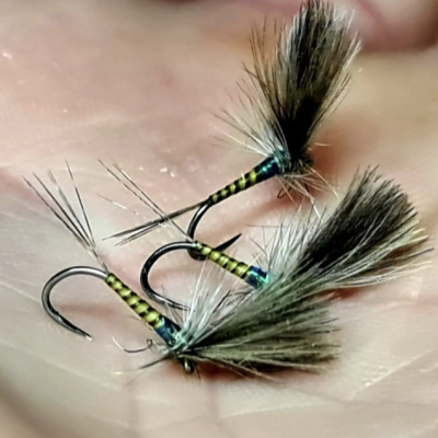Veniard Hand Stripped Peacock Quills - Brown